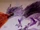 Xaxziz-my-fan-dragon.jpg