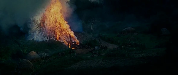 Костер достойный короля