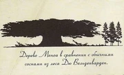 Меноа