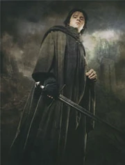 Муртаг-Всадник Торна