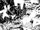 Chapter 295