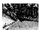 Chapter 453