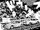 Chapter 294