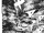 Chapter 234