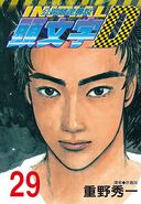 Volumen 29