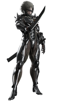 Raiden (MGS), Made up Characters Wiki