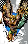 Hawkman Costume