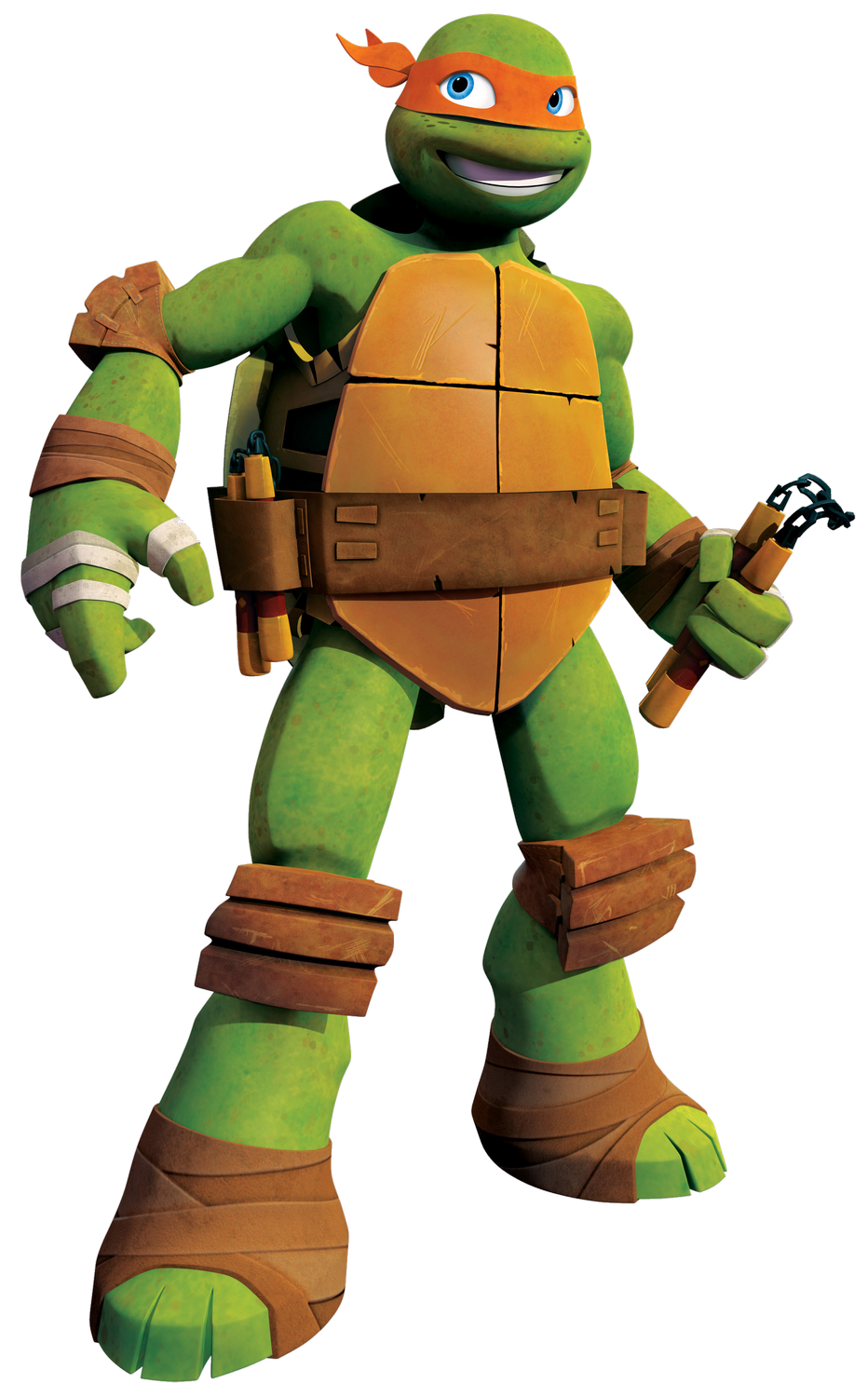 teenage mutant ninja turtles michelangelo