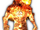 Human Torch (Heroes Disassembled)