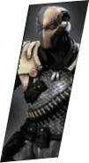 Deathstroke Selection Icon