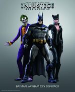 Arkham City Skin Pack