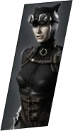 Catwoman Selection Icon