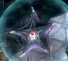 Starro