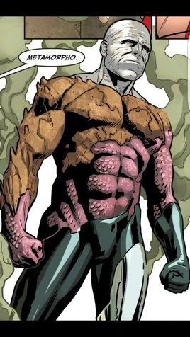 Metamorpho Injustice