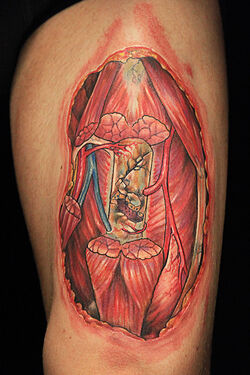 Season Three | Ink Master Wiki | Fandom Season Three | Ink Master Wiki | Fandom