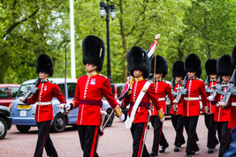 King's guard