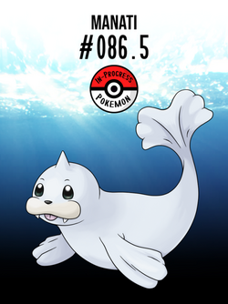 Seel, Wiki