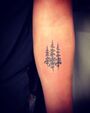 Redwood trees for his hometown on his left arm. February 5, 2019[10]