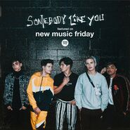 Somebody Like You - Featured Spotify
