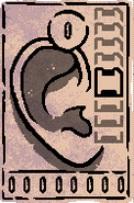 'The Fool' tarot card