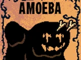 Amoeba