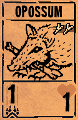 Opossum card