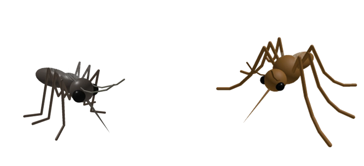 Redesign Update | Insect Perspective Wiki | Fandom