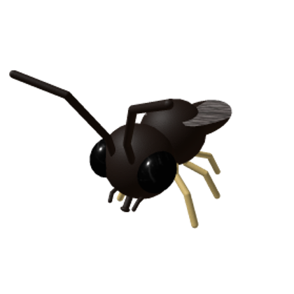 Fungus Gnat Insect Perspective Wiki Fandom