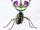Devil's flower mantis