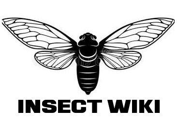 Insect Wiki | Fandom