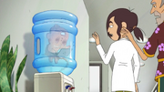 Stemcell Steve