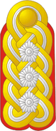 Generaloberst Colonel General