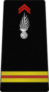 Adjudant warrant officer