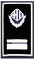 Intendent Deputy Chief Inspector