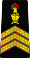 Sergeant-chef chief sergeant