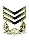 상사/上士 - Master Sergeant/Senior Chief Petty Officer