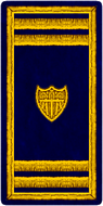 Lieutenant