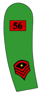 Platoon Sergeant 56th Riffle Division