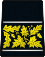 Magistrat militaire de 3e classe military magistrate 3rd class (equivalent to major)