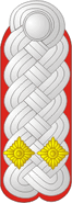 Oberstleutnant - Artillerie Lieutenant Colonel