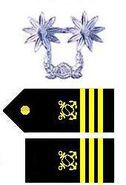 중령/中領 - Lieutenant Colonel/Commander