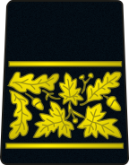 Magistrat militaire de 1re classe military magistrate 1st class (equivalent to colonel)