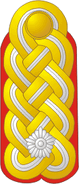 Generalmajor Major General