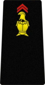 brigade des sapeurs pompiers de paris | tonyRblade COLLECTION – SP