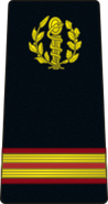 supérieur de 1re classe (du 1er au 3e échelon) supérieur de 2e classe (a partir du 7e échelon) normal(a partir du 10e échelon) 1st class superior (1st to 3rd level) 2nd class superior (from 7th level) normal (from 10th level)