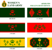 WLA-armbands.png