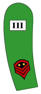 Senior Sergeant 3rd Artillery Corps