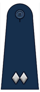 Lieutenant Colonel