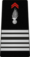 Colonel colonel