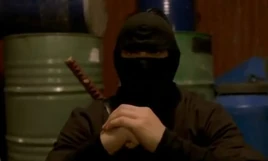The Ninja